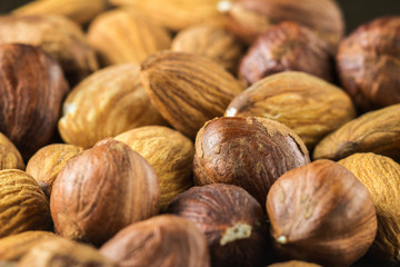 Raw brown hazelnut on heap, macro image