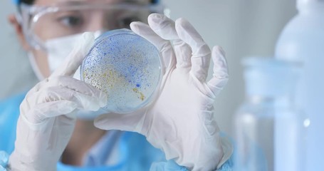 Medical research student using a laboratory pipette and petri dish