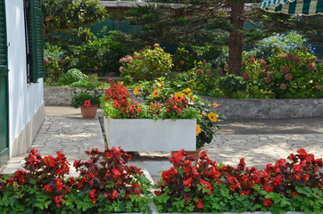 Fototapeta na wymiar flowers in the italian garden