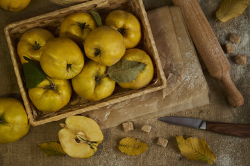 A lot of apple quince  with kitchenware,  preparing for quince pie on sackcloth rustic background. top view.