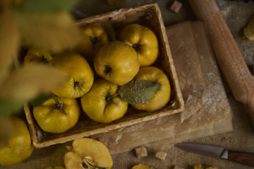 A lot of apple quince  with kitchenware,  preparing for quince pie on sackcloth rustic background. top view.