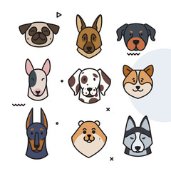 dog trend labels. 2018 year of the dog