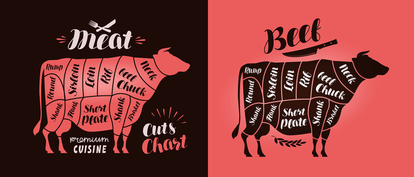 Meat cut charts. Food, butcher shop, beef concept. Vector illustration