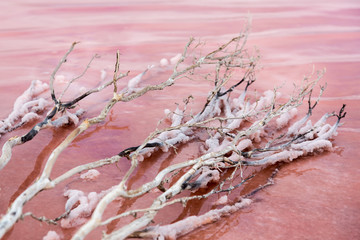 Pink Lake - Dimboola