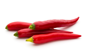 Red chilli pepper isolated on a white background.