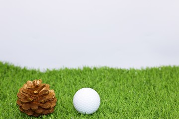 Naklejka premium golf ball and pine cone on green grass