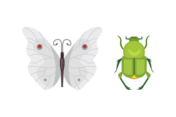 Set of different insects in cartoon style. Butterfly and beetle collection.