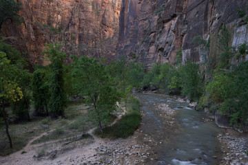 The Virgin River - Zion National Park