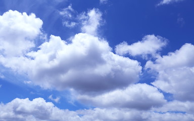 Fototapeta premium 爽やかな青空と雲