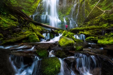 Foto op Aluminium Proxy Falls, Oregon, USA, during summer © wisanuboonrawd