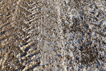 Traces on the snow