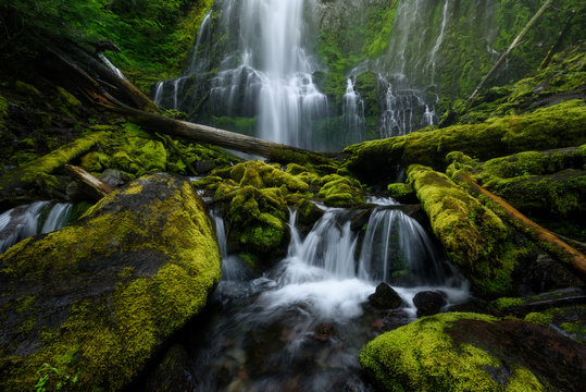 Fototapeta Proxy Falls, Oregon, USA, during summer
