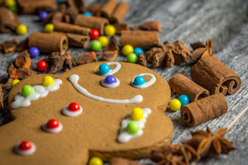 Fototapeta na wymiar Happy gingerbread 