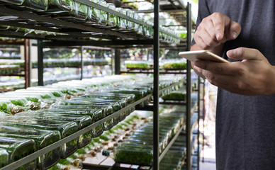 agriculture technology concept man Agronomist Using a Tablet in an Agriculture Field read a report