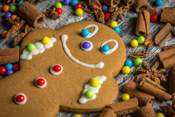 Obraz na płótnie Canvas Happy gingerbread man
