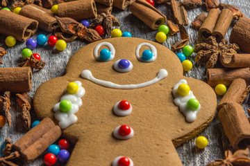 Fototapeta na wymiar Decorated gingerbread cookie