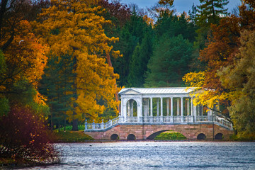 Obraz premium Autumn forest of the city Pushkin. Neighborhoods of Petersburg.
