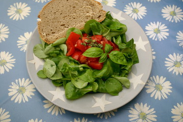 frischer Salat