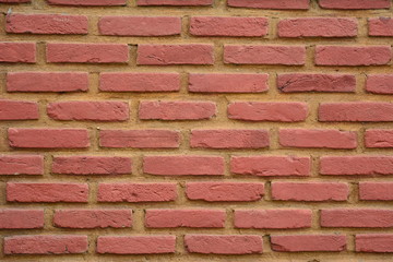 Parede de tijolos vermelhos
