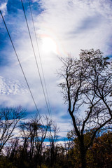 Sky and Powerlines