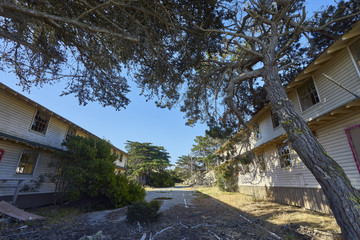 fascinating defunct and decaying houses in an abandoned area near Monterey, California