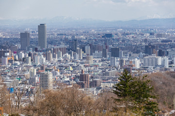 Sapporo Cityscape