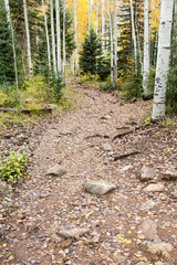 Autumn on Purgatory Creek trail near Durango, Colorado
