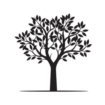 Beauliful Tree with Leaves. Vector Illustration.