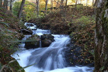 Obraz premium 信州 渓谷