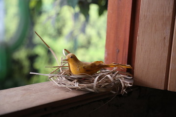 Fake bird in the window