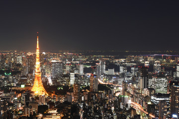 日本の東京都市風景「港区や東京湾方面などを望む」