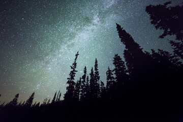 Milky Way over Elk Meadow on Mt. Hood night sky with stars and skyglow