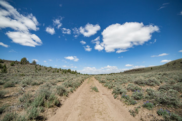 Dirt road leading to new horizons