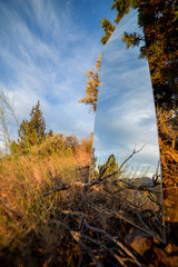 Lift along reflection blue sky mirror desert