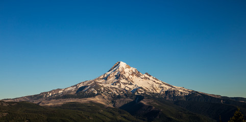 Mt. Hood in late afternoon