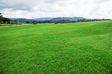 Green lawn with sky.