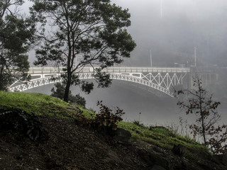 King's Bridge on a Foggy Morning at the Mouth of Cataract Gorge in Launceston, Tasmania, Australia