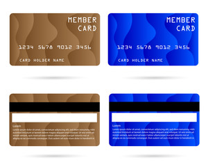 member card, business VIP card, design for privilege member,vector