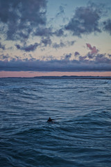 surfer at dusk