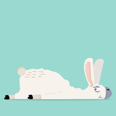  cute cartoon lama alpaca © focus_bell