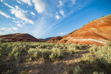 Spring in the Painted Hills at sunset