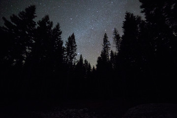 Dark sky forest and stars on Mt. Hood 2