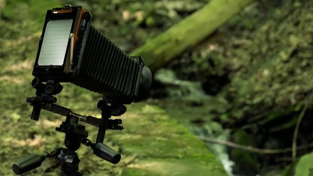 A large format camera is positioned to photograph a stream in a shady forest.