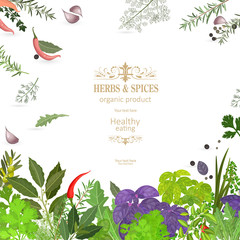 graceful banner with colorful herbs and spices for your design
