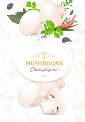 vertical banner with champignons and herbs for your design
