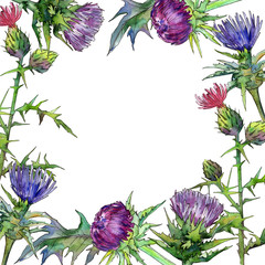Wildflower thistle flower frame in a watercolor style. Full name of the plant: thistle. Aquarelle wild flower for background, texture, wrapper pattern, frame or border.