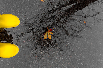 Yellow rubber boots stepped into a puddle. around autumn yellow leaves on the asphalt.