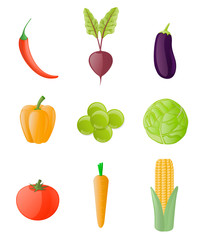 Set of vegetables(pepper,chilli,eggplant,peas,cabbage,tomato,beet,carrot,corn) in cartoon style.Vector illustration on white background.
