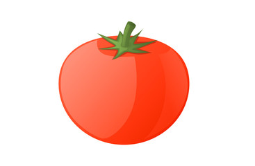 Tomato icon. Vector illustration isolated on white background.