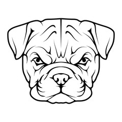 English bulldog icon.Dog collection